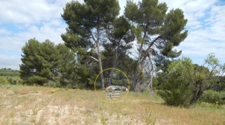 Valencia - Bélgida - 7m2