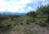 Terreno no urbanizable en venta en la España, Bèlgida, ref: TR243834 foto