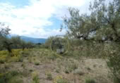 Terreno no urbanizable en venta en la España, Bèlgida, ref: TR243834 foto