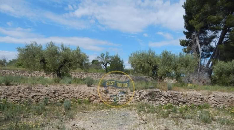 Valencia - Bélgida - 7m2