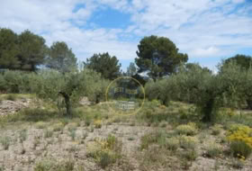 Foto 14