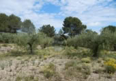Terreno no urbanizable en venta en la España, Bèlgida, ref: TR243834 foto