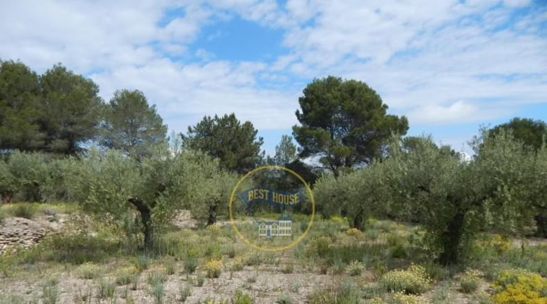 Valencia - Bélgida - 7m2