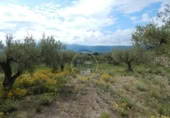 Terreno no urbanizable en venta en la España, Bèlgida, ref: TR243834 foto