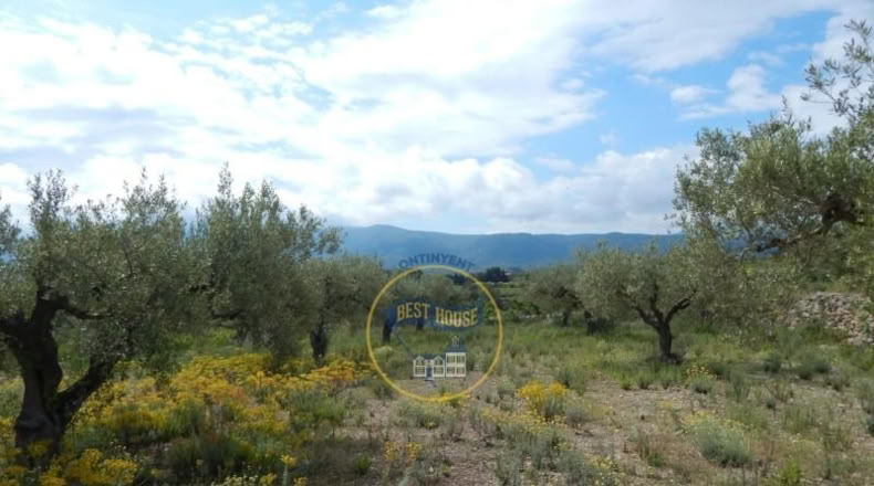 Valencia - Bélgida - 7m2