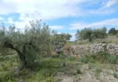 Terreno no urbanizable en venta en la España, Bèlgida, ref: TR243834 foto