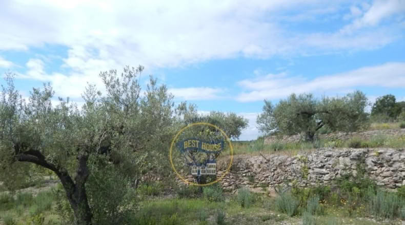 Valencia - Bélgida - 7m2