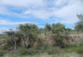 Terreno no urbanizable en venta en la España, Bèlgida, ref: TR243834 foto