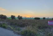 Terreny no urbanitzable en venda a la España, Sanlúcar de Barrameda, ref.: TR317556 foto