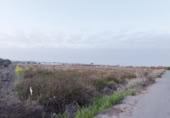 Terreny no urbanitzable en venda a la España, Sanlúcar de Barrameda, ref.: TR317556 foto