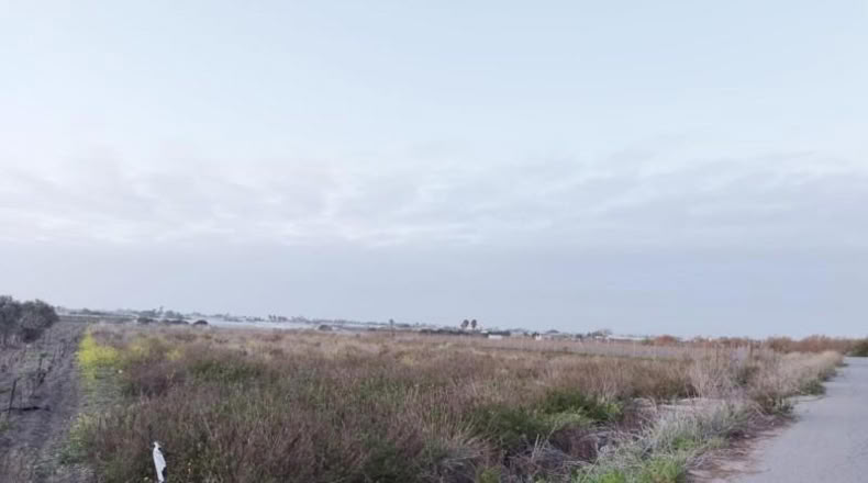Кадис - Sanlúcar de Barrameda - 970m2
