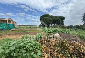Paradas 1000&nbsp;m² 