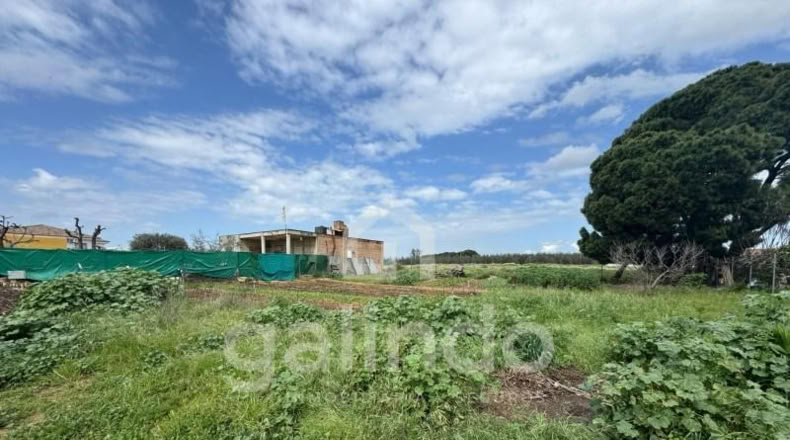 Sevilla - Paradas - 1000m2