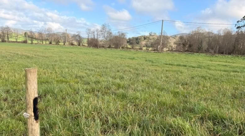 Cantabria - Entrambasaguas - 5696m2