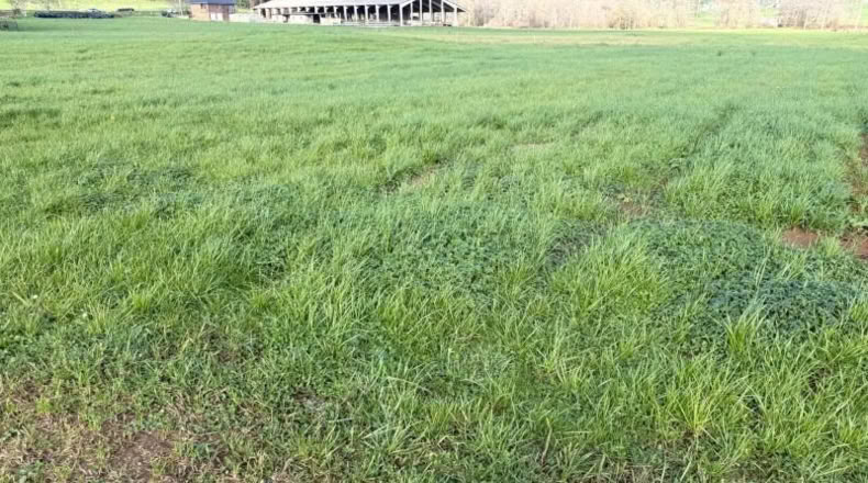 Cantabria - Entrambasaguas - 5696m2