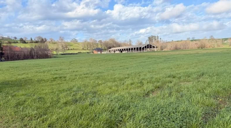 Cantabria - Entrambasaguas - 5696m2