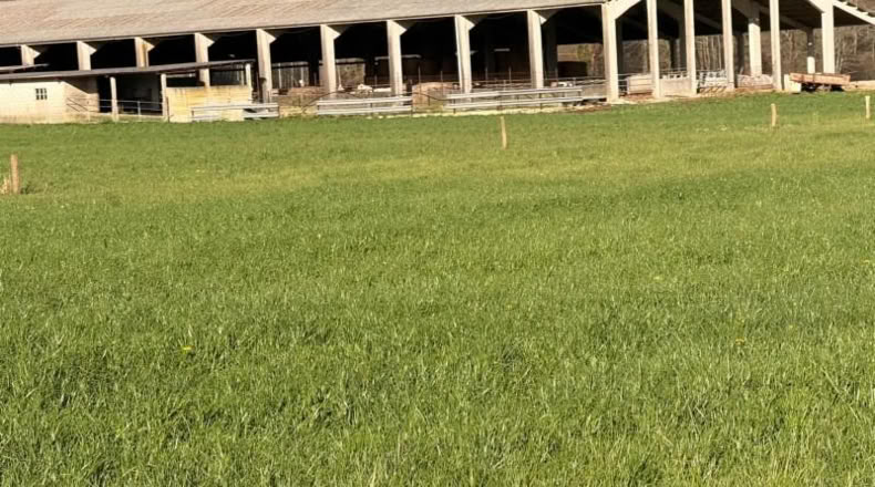 Cantabria - Entrambasaguas - 5696m2