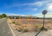 Non-developable land for sale on España, Huércal-Overa, ref: TR375917 photo