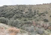 Terreno no urbanizable en venta en la España, Monachil, ref: TR371340 foto
