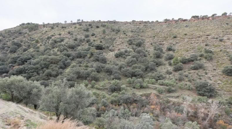 Granada - Monachil - 5462m2