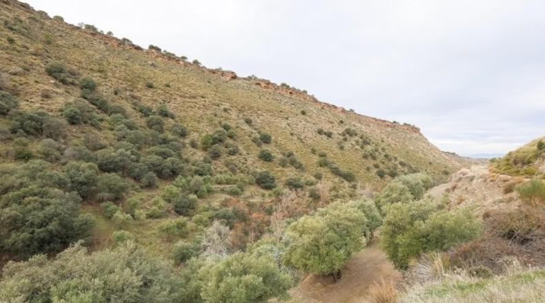 Granada - Monachil - 5462m2