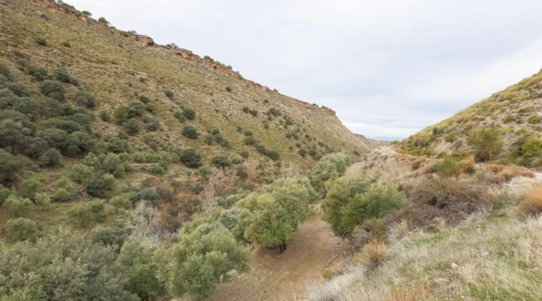 Granada - Monachil - 5462m2