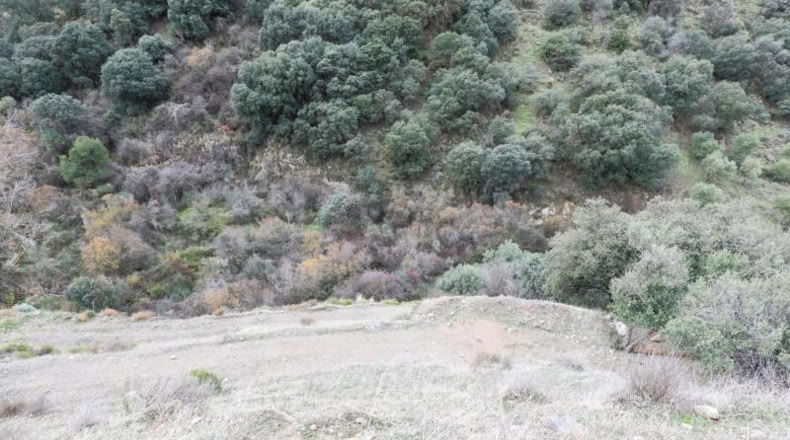 Granada - Monachil - 5462m2