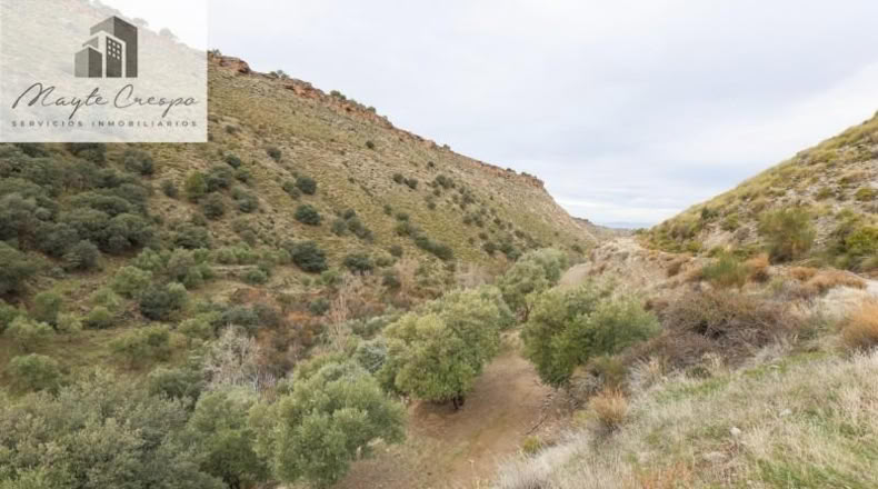 Granada - Monachil - 5462m2