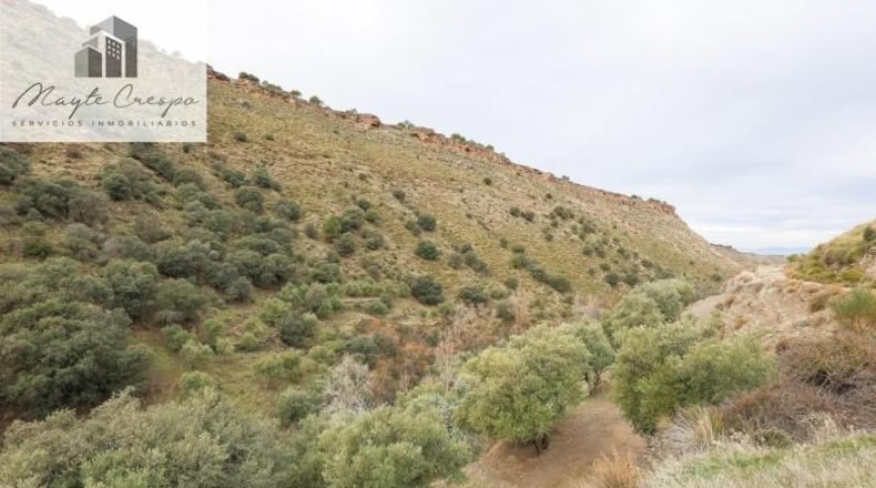 Granada - Monachil - 5462m2