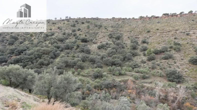 Granada - Monachil - 5462m2