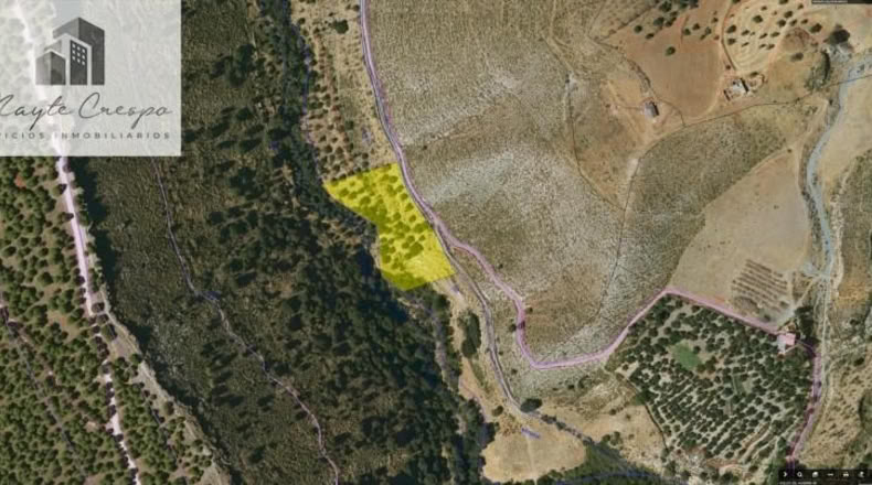 Granada - Monachil - 5462m2