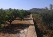 Non-developable land for sale on España, Oliva, ref: TR351745 photo