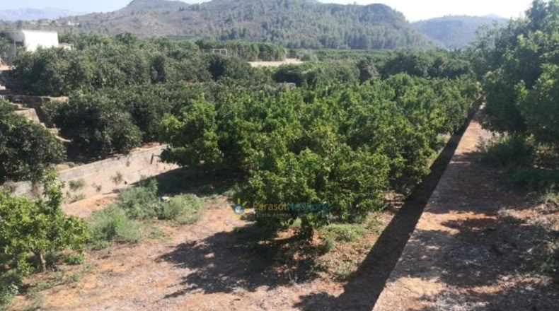 Valencia - Oliva - 5736m2