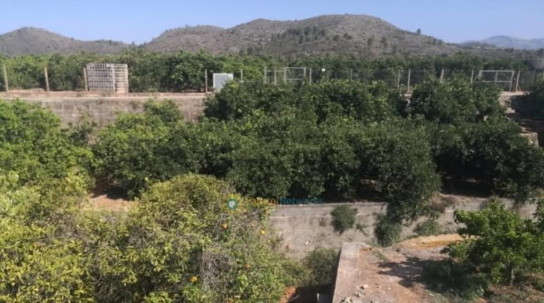 Valencia - Oliva - 5736m2