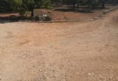 Non-developable land for sale on España, Oliva, ref: TR351745 photo