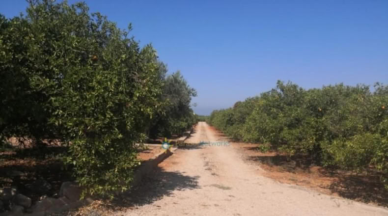 Valencia - Oliva - 5736m2