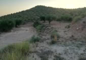 Terreny no urbanitzable en venda a la España, Favanella, ref.: TR128674 foto