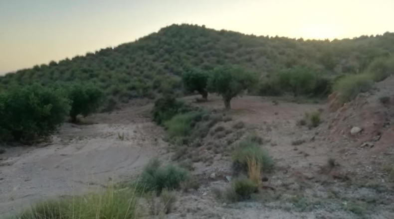 Murcia - Abanilla - 37600m2