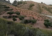 Terreny no urbanitzable en venda a la España, Favanella, ref.: TR128674 foto