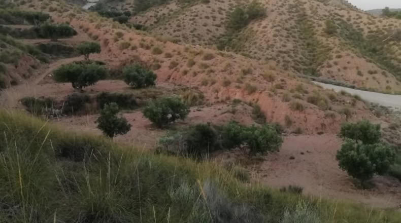 Murcia - Abanilla - 37600m2