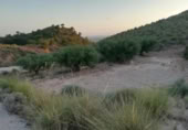 Terreny no urbanitzable en venda a la España, Favanella, ref.: TR128674 foto