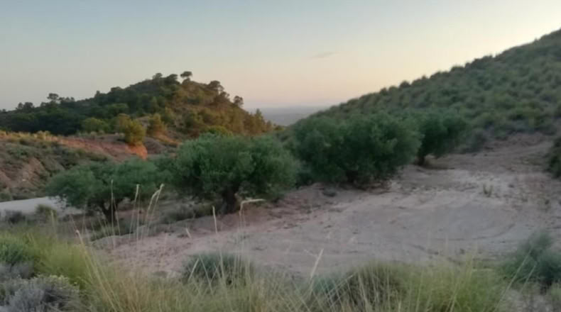 Murcia - Abanilla - 37600m2