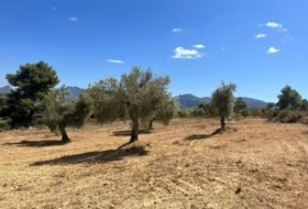 Cretas 31481&nbsp;m²