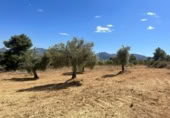 Xalet independent amb terreny en venda a la España, Queretes, ref.: TR347285 foto