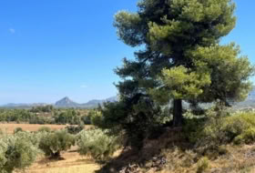 Cretas 31481&nbsp;m²