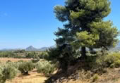 Xalet independent amb terreny en venda a la España, Queretes, ref.: TR347285 foto