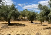 Xalet independent amb terreny en venda a la España, Queretes, ref.: TR347285 foto