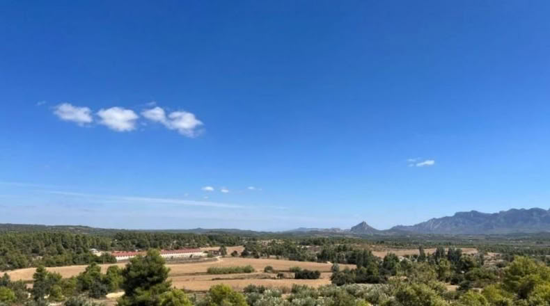Teruel - Cretas - 31481m2