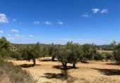 Xalet independent amb terreny en venda a la España, Queretes, ref.: TR347285 foto