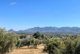 Cretas 31481&nbsp;m²